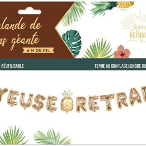 Ballons Joyeuse Retraite